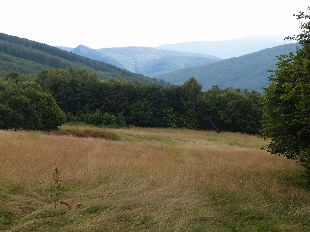 img00022.jpg