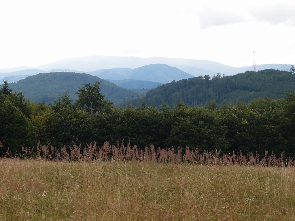 img00023.jpg