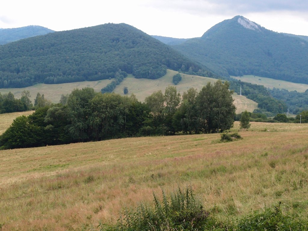 img00025.jpg