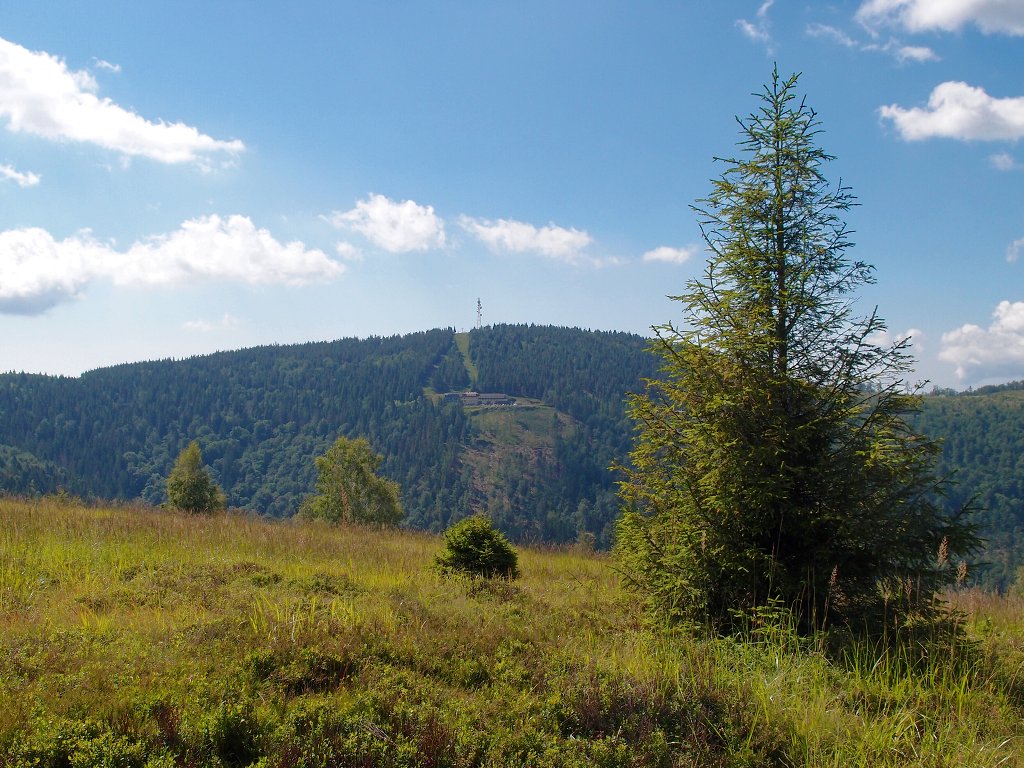 img00005.jpg