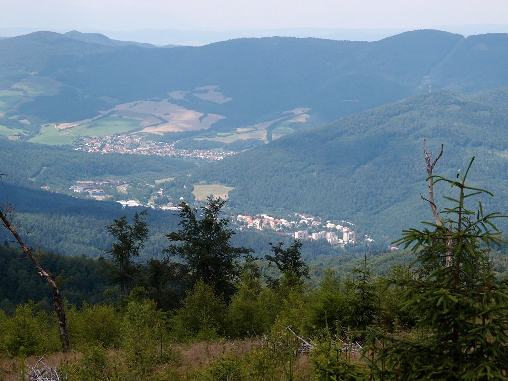 img00011.jpg