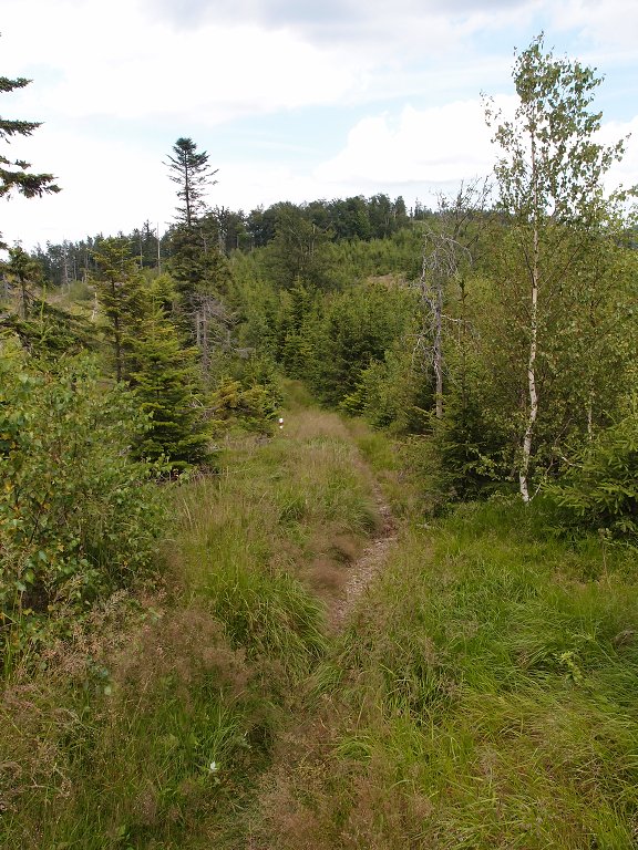 img00012.jpg