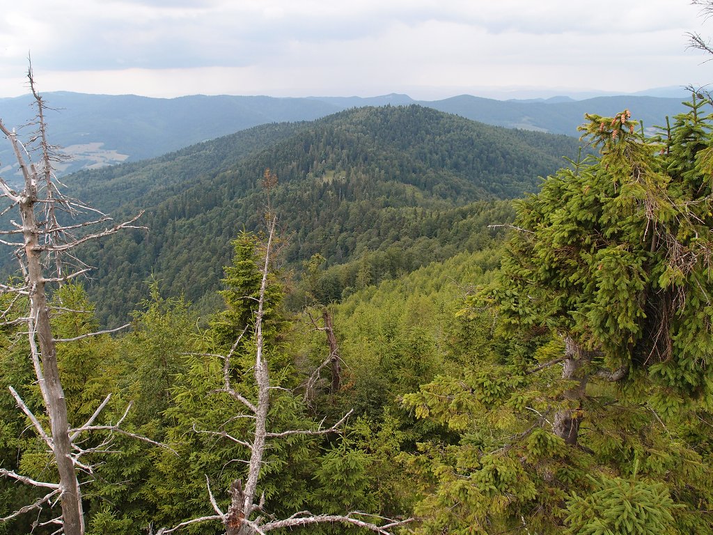 img00016.jpg