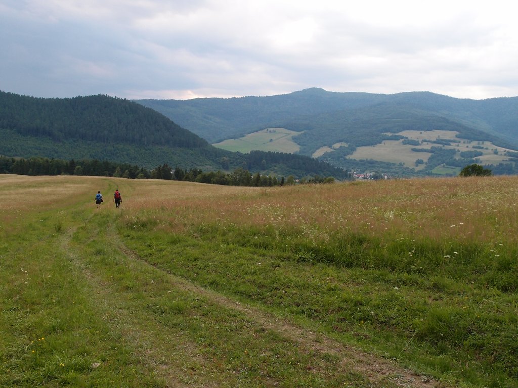 img00020.jpg