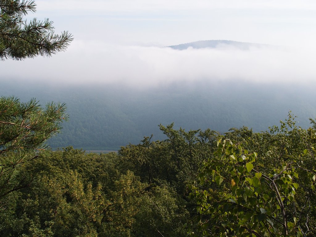 img00002.jpg