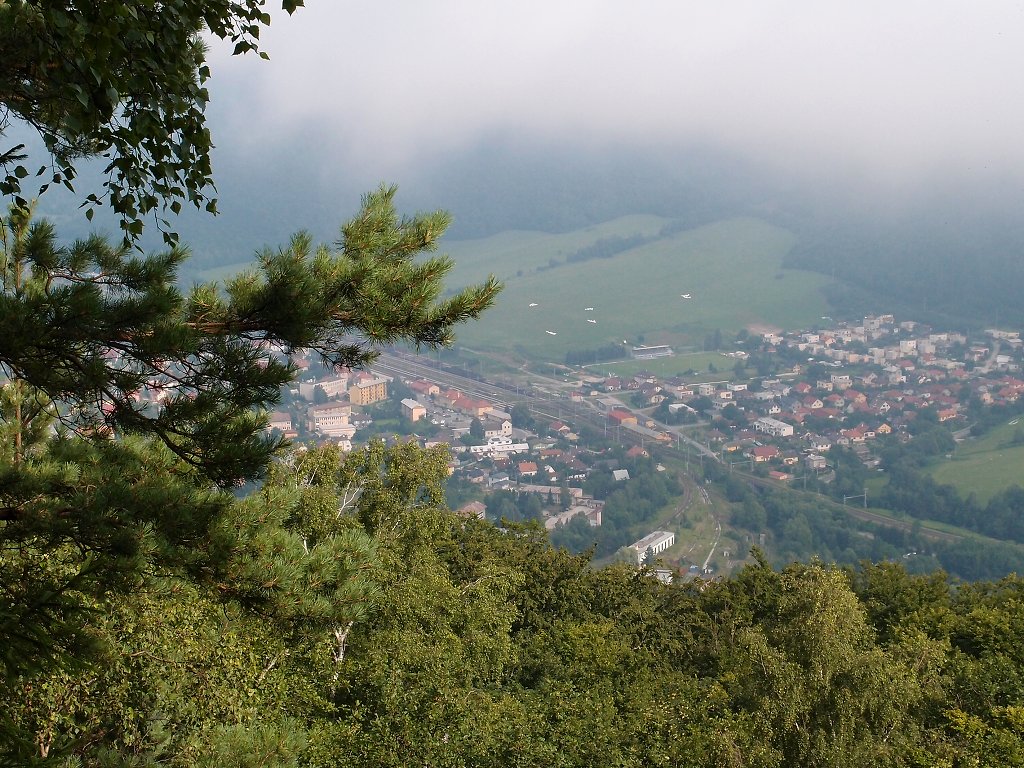 img00003.jpg