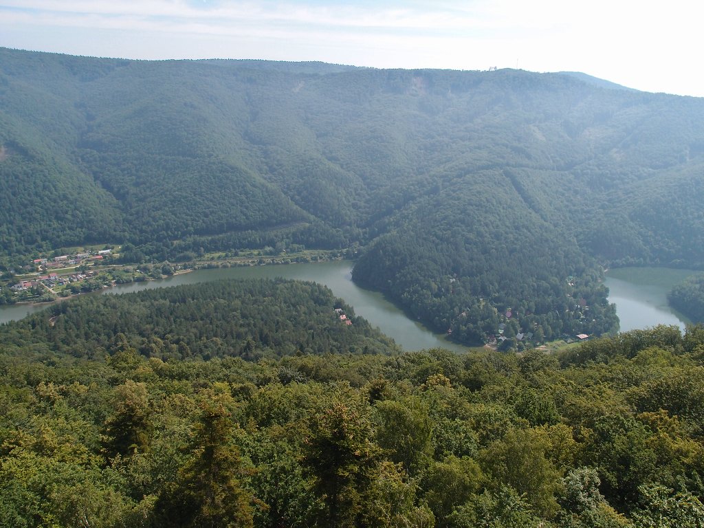 img00005.jpg
