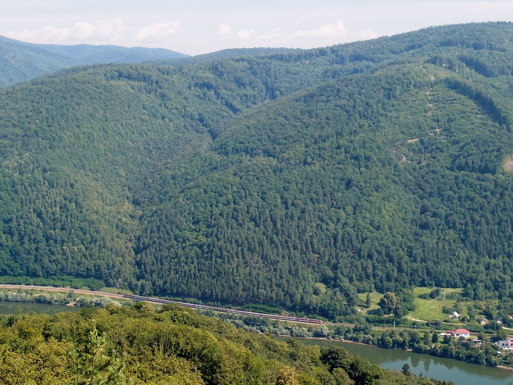 img00006.jpg