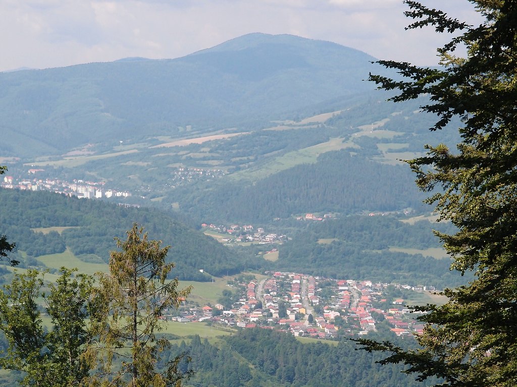 img00007.jpg