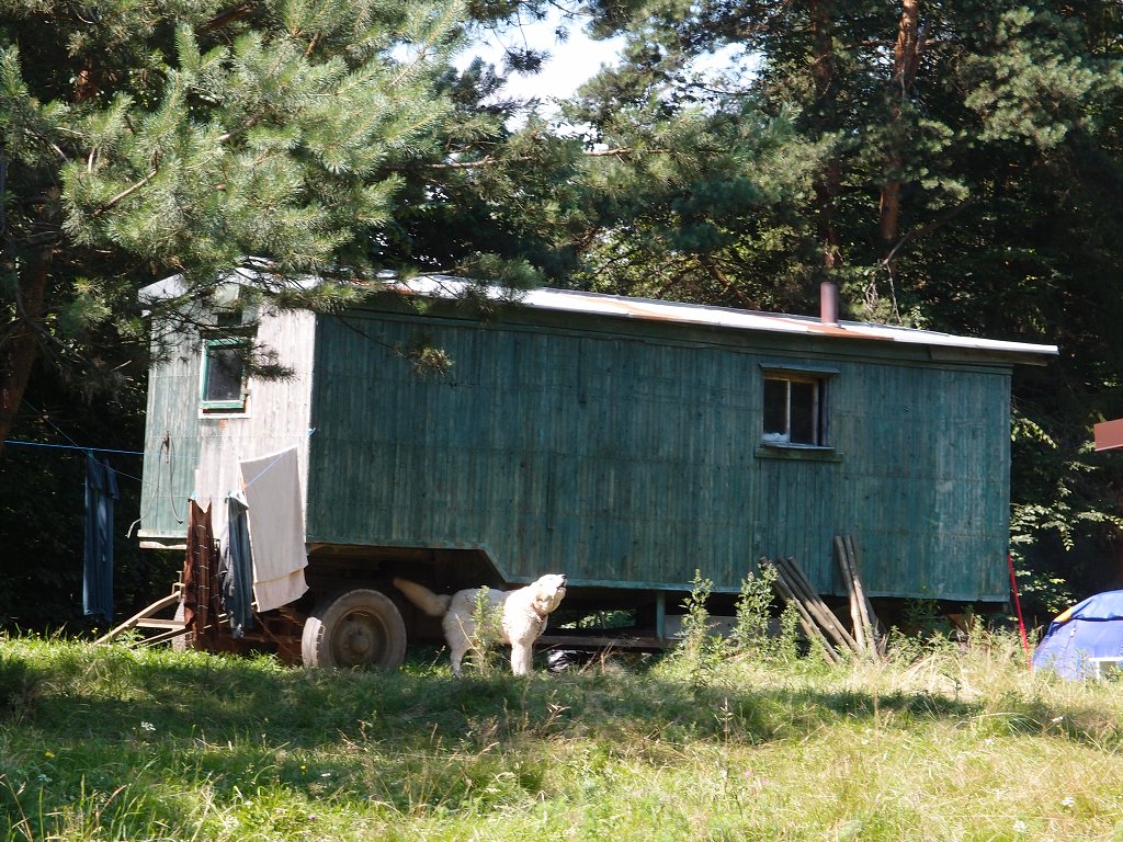 img00010.jpg