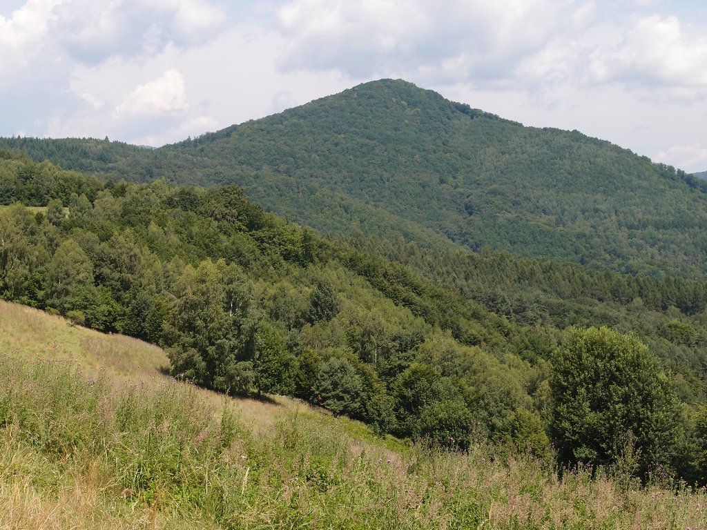 img00012.jpg