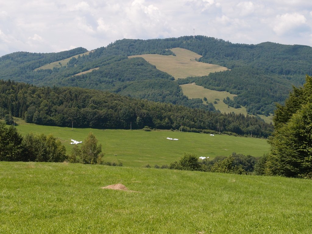 img00013.jpg