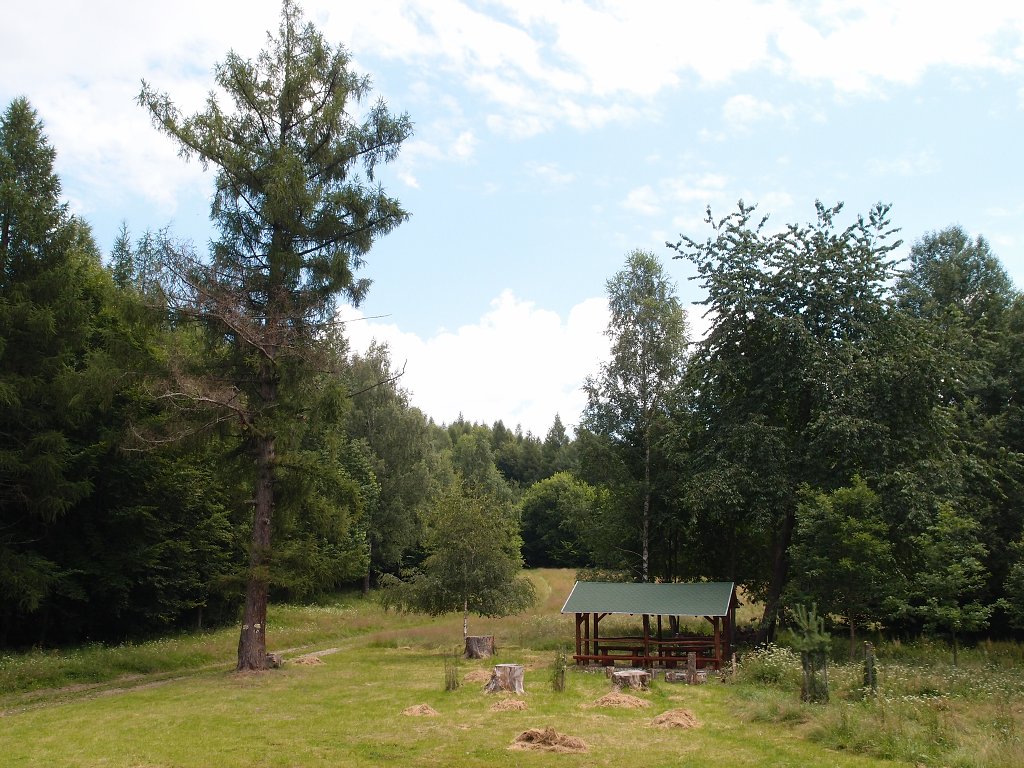 img00015.jpg