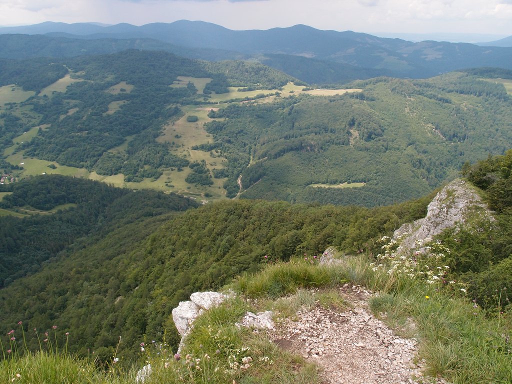 img00017.jpg