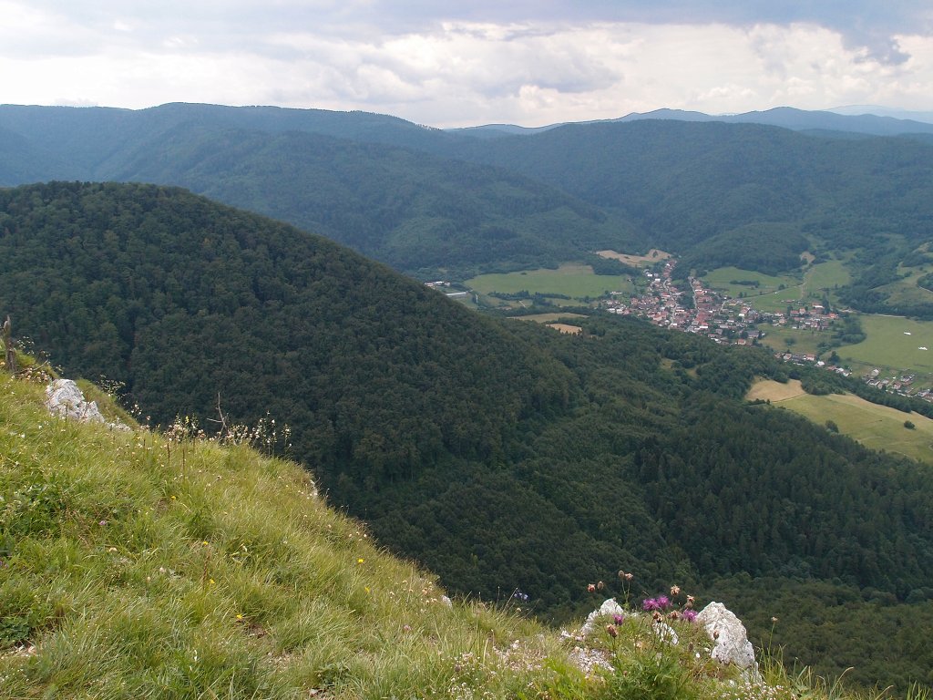 img00019.jpg