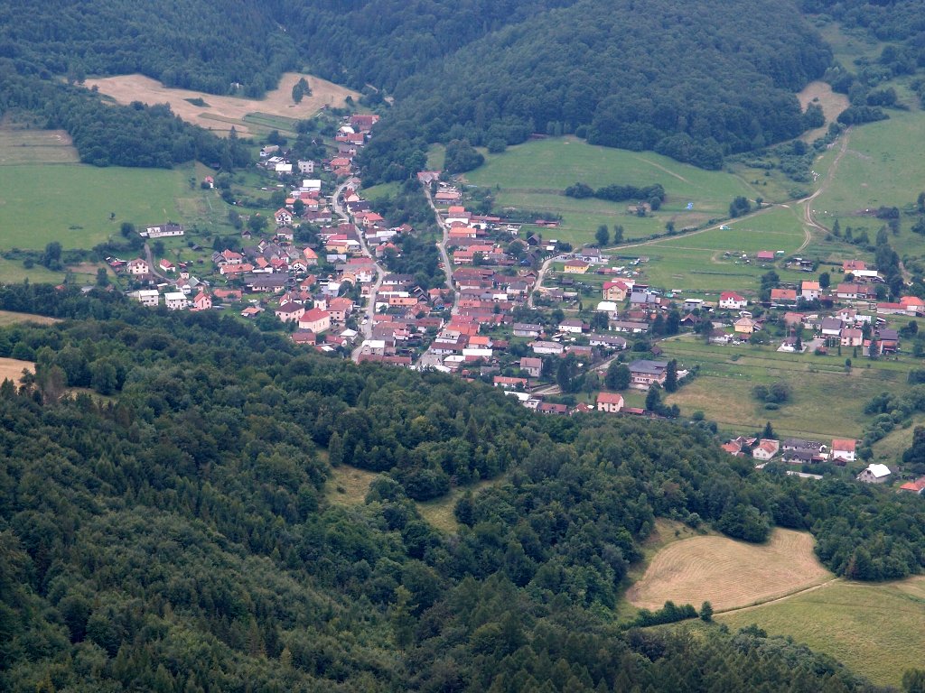 img00020.jpg