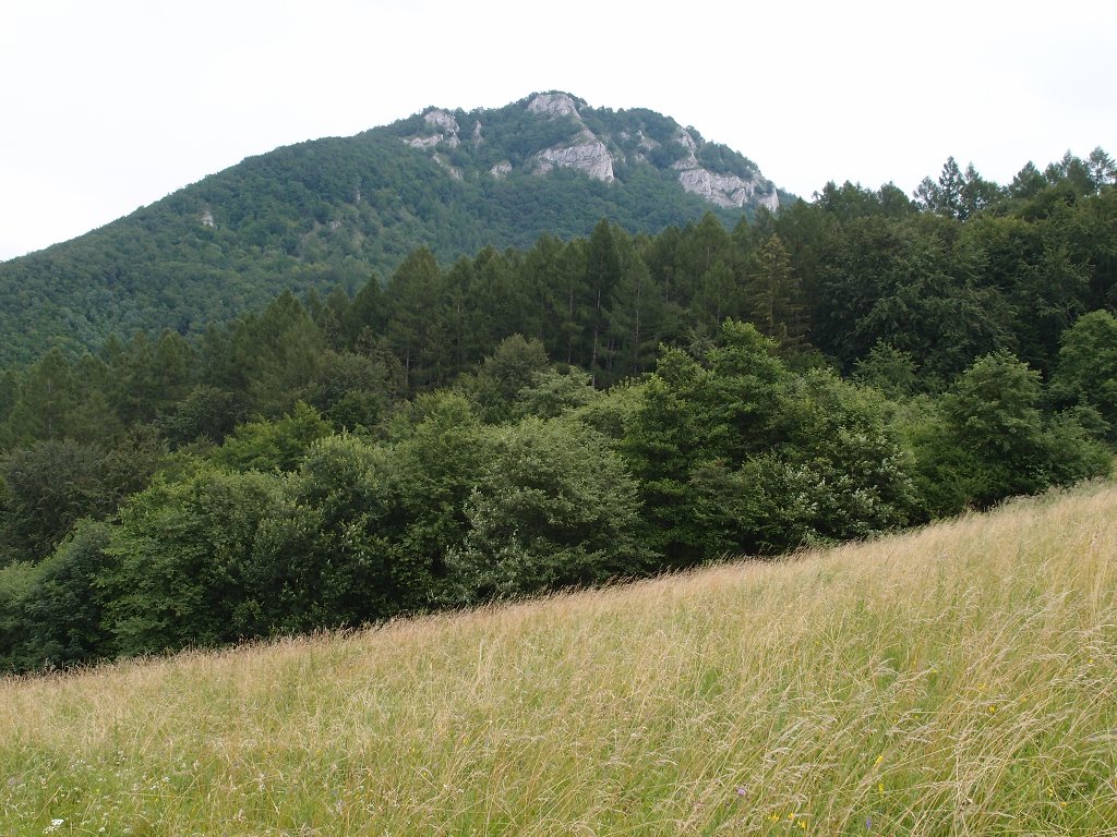 img00022.jpg