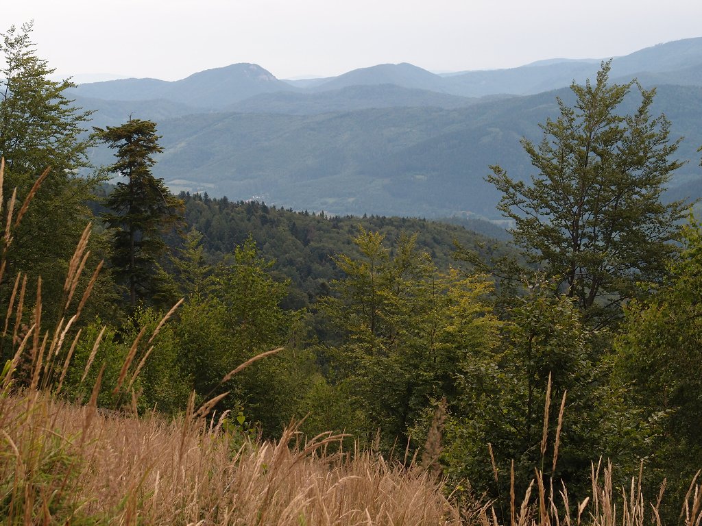 img00002.jpg