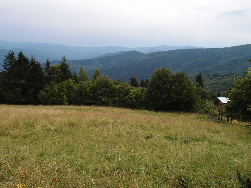 img00006.jpg