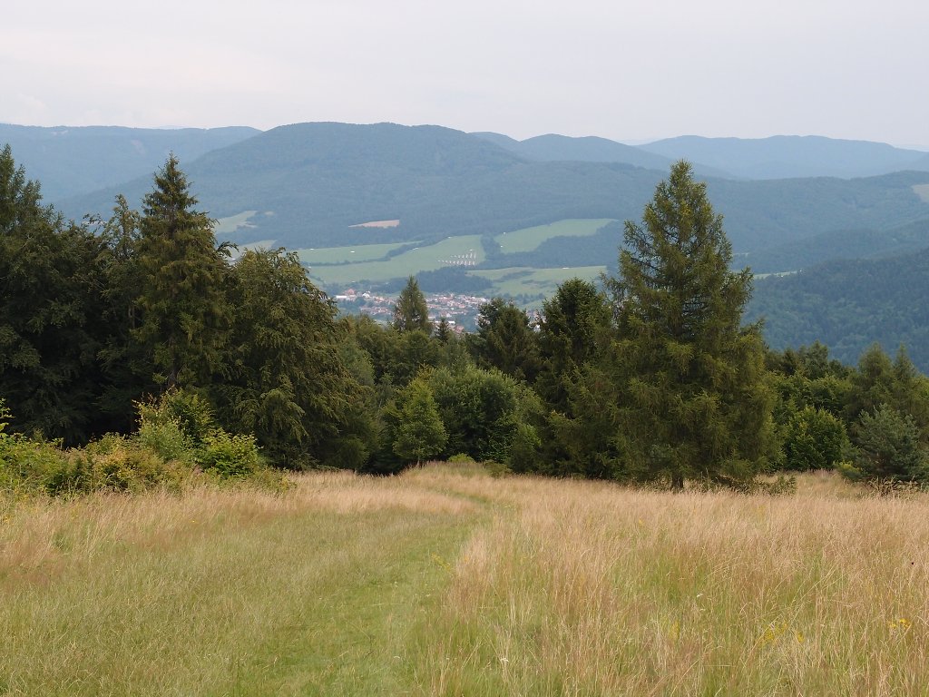 img00008.jpg