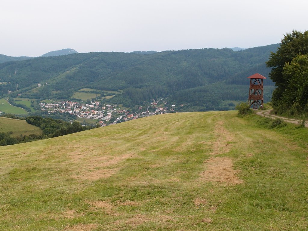 img00010.jpg