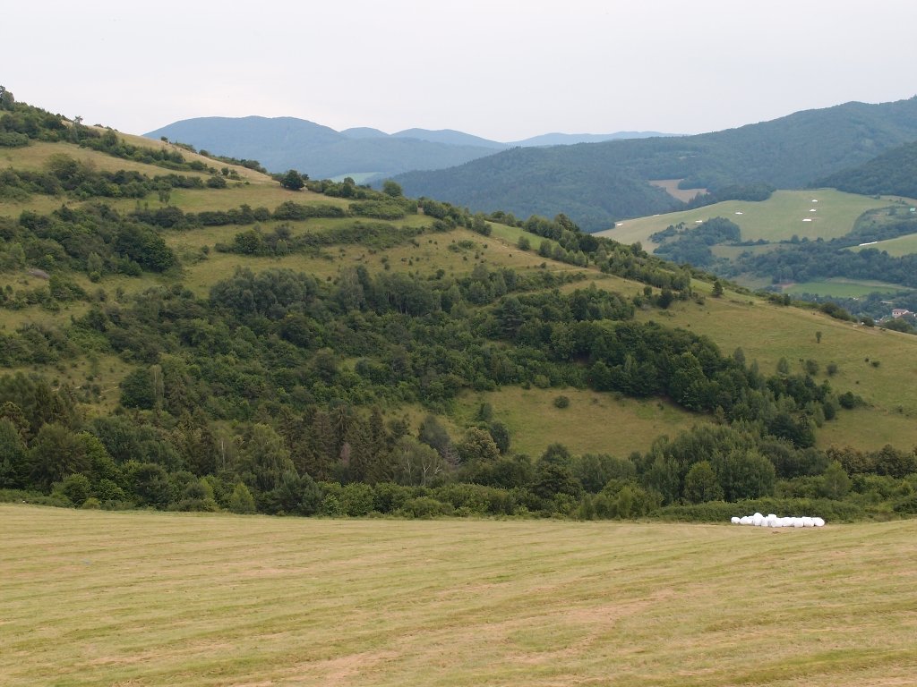 img00013.jpg