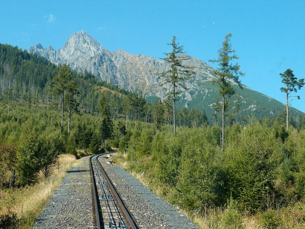 img00003.jpg