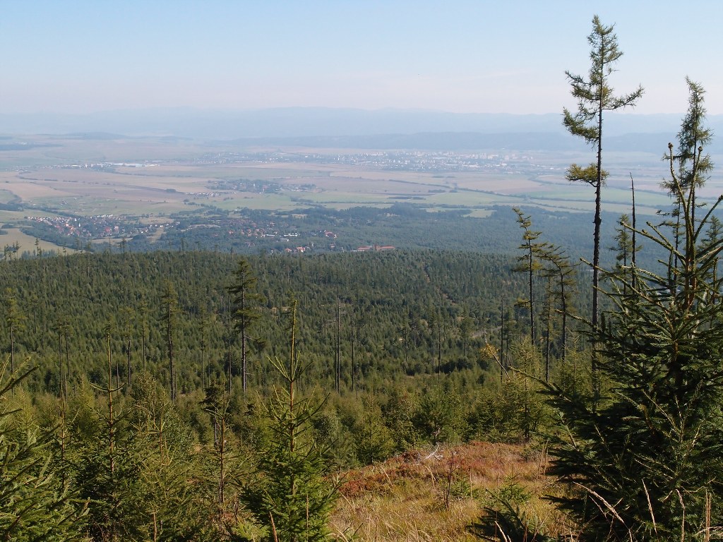 img00005.jpg