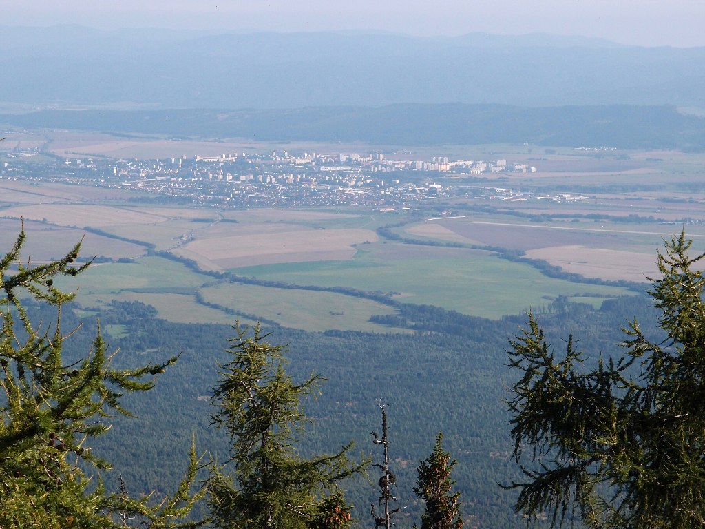 img00007.jpg