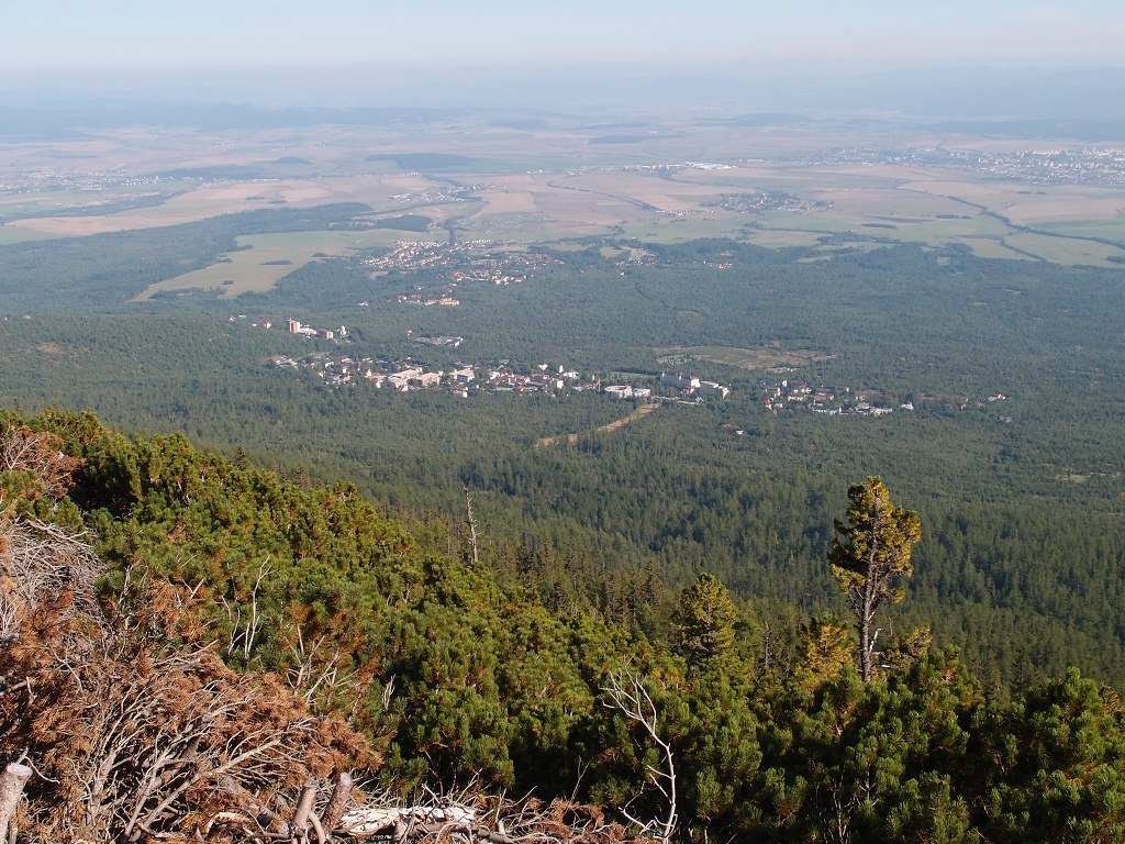 img00008.jpg