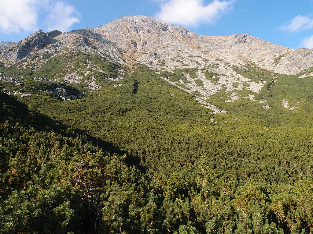 img00009.jpg