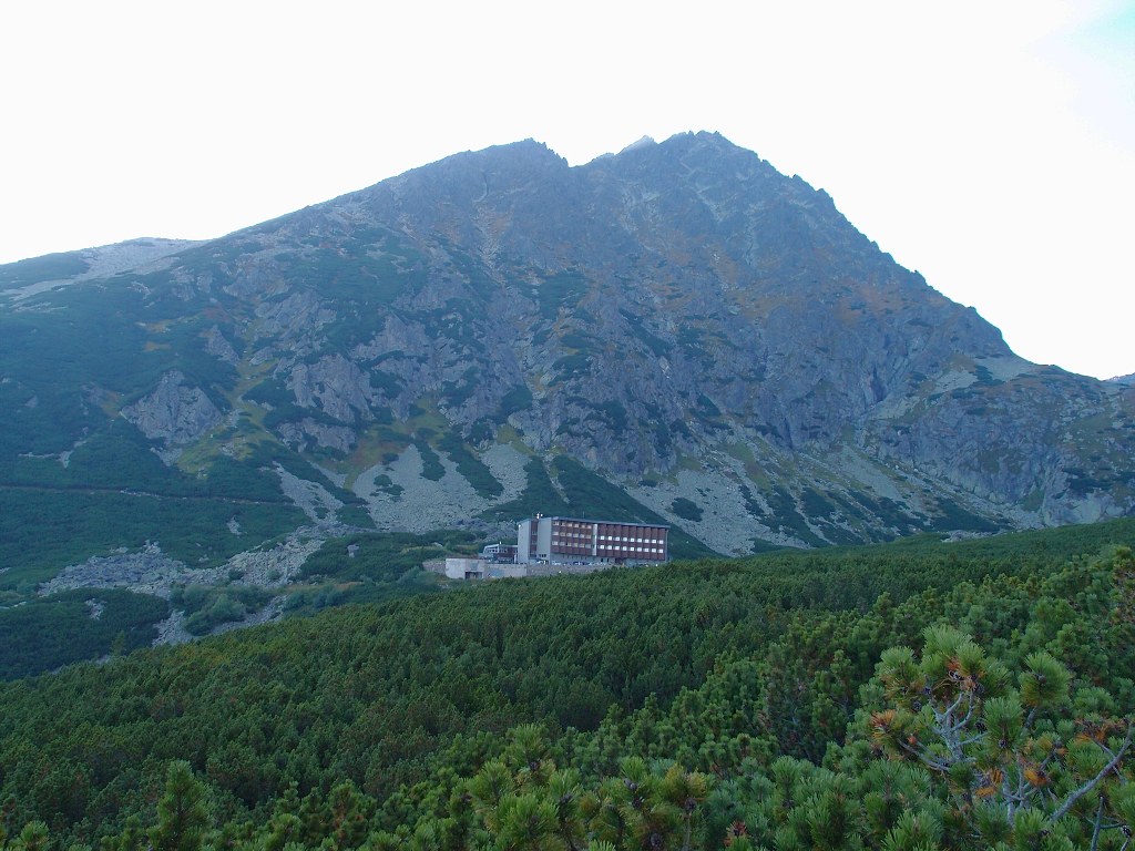 img00011.jpg
