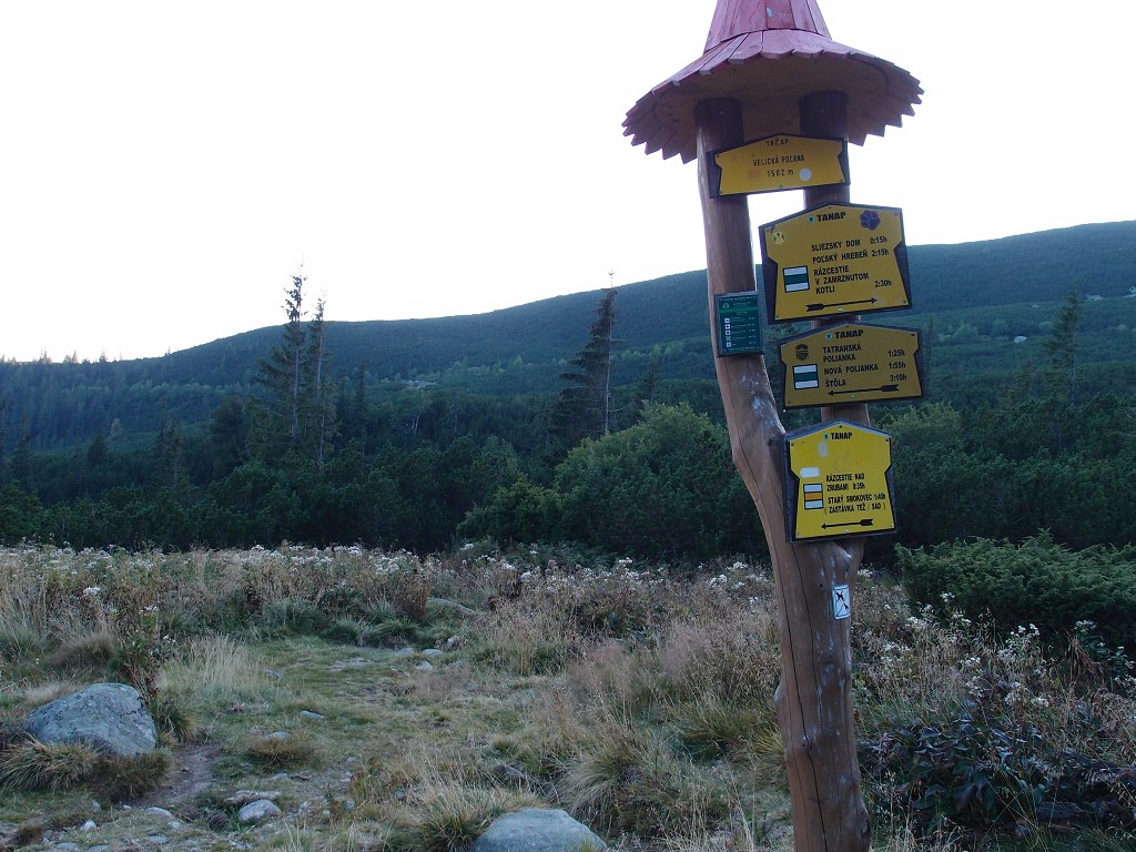 img00014.jpg