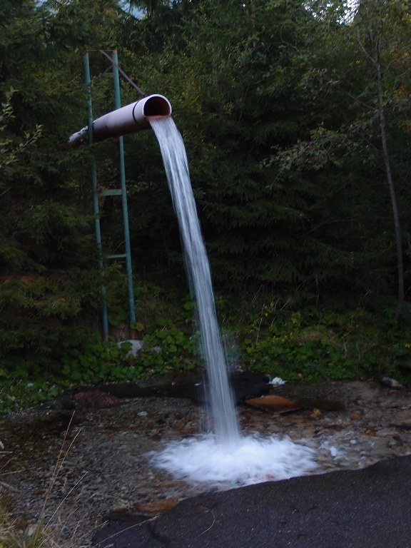 img00015.jpg