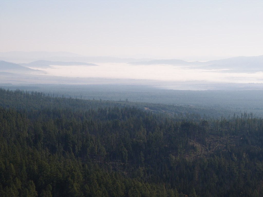 img00002.jpg