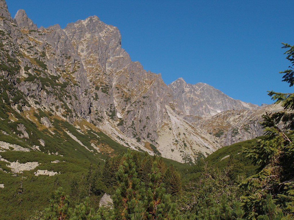 img00005.jpg