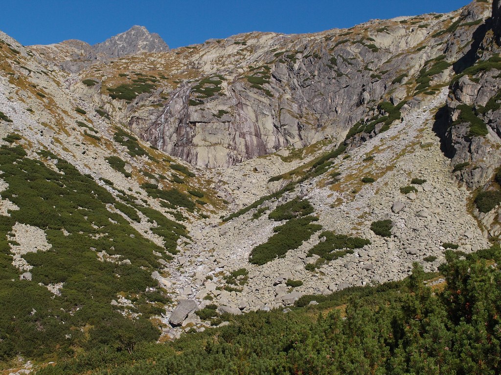 img00006.jpg