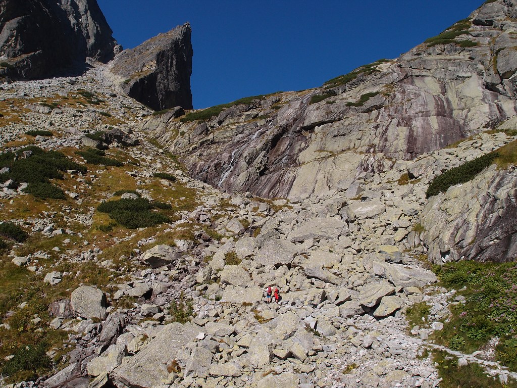 img00007.jpg