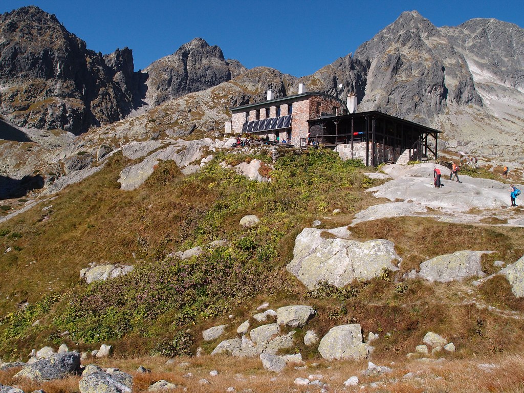 img00008.jpg