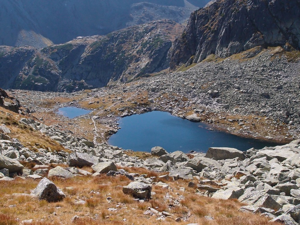 img00019.jpg