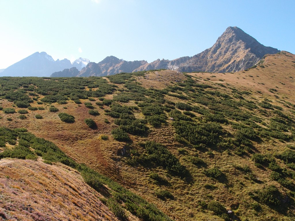 img00008.jpg