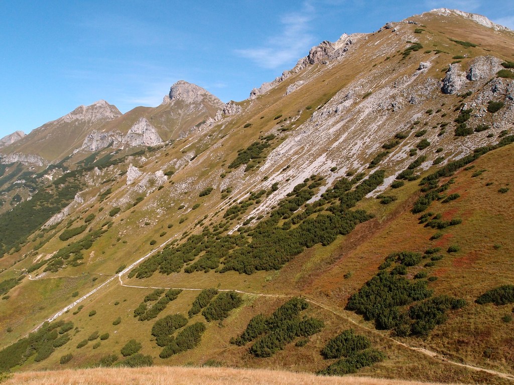 img00009.jpg