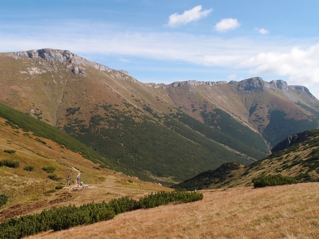 img00010.jpg