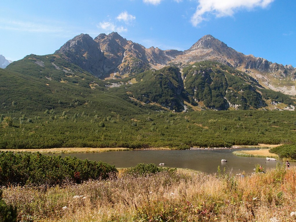 img00012.jpg