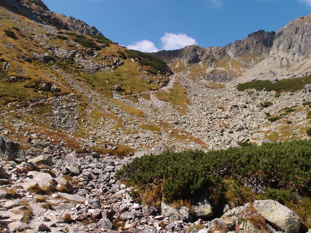 img00014.jpg