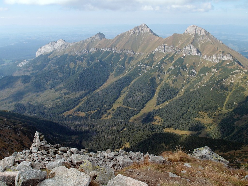 img00019.jpg