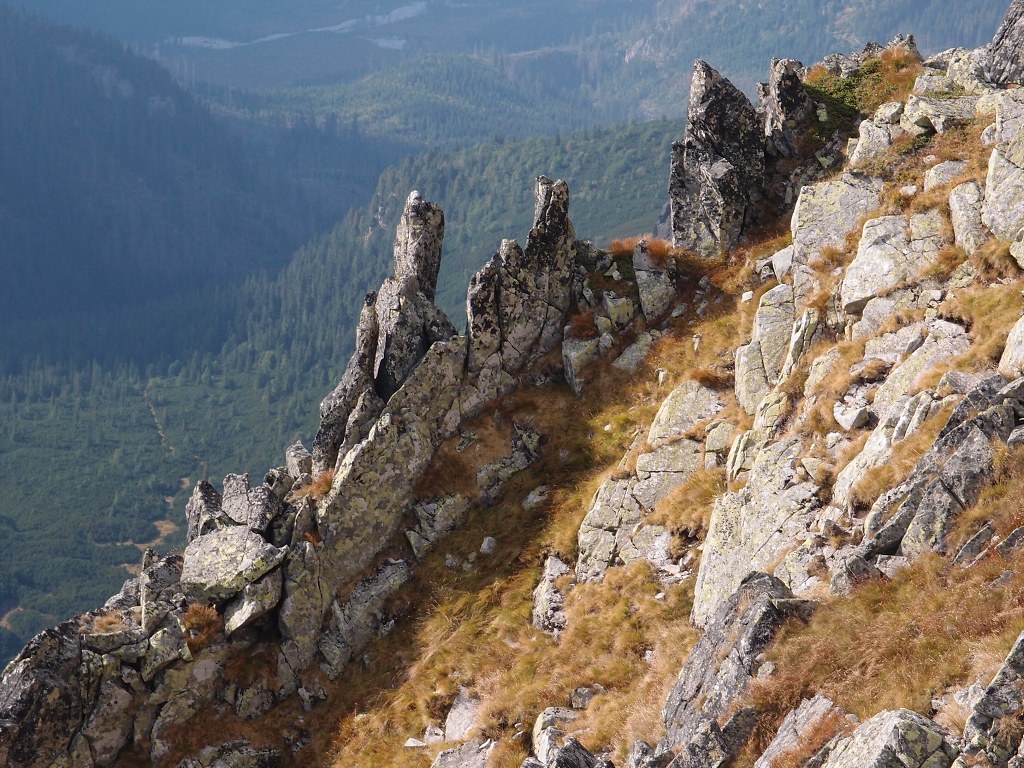 img00025.jpg