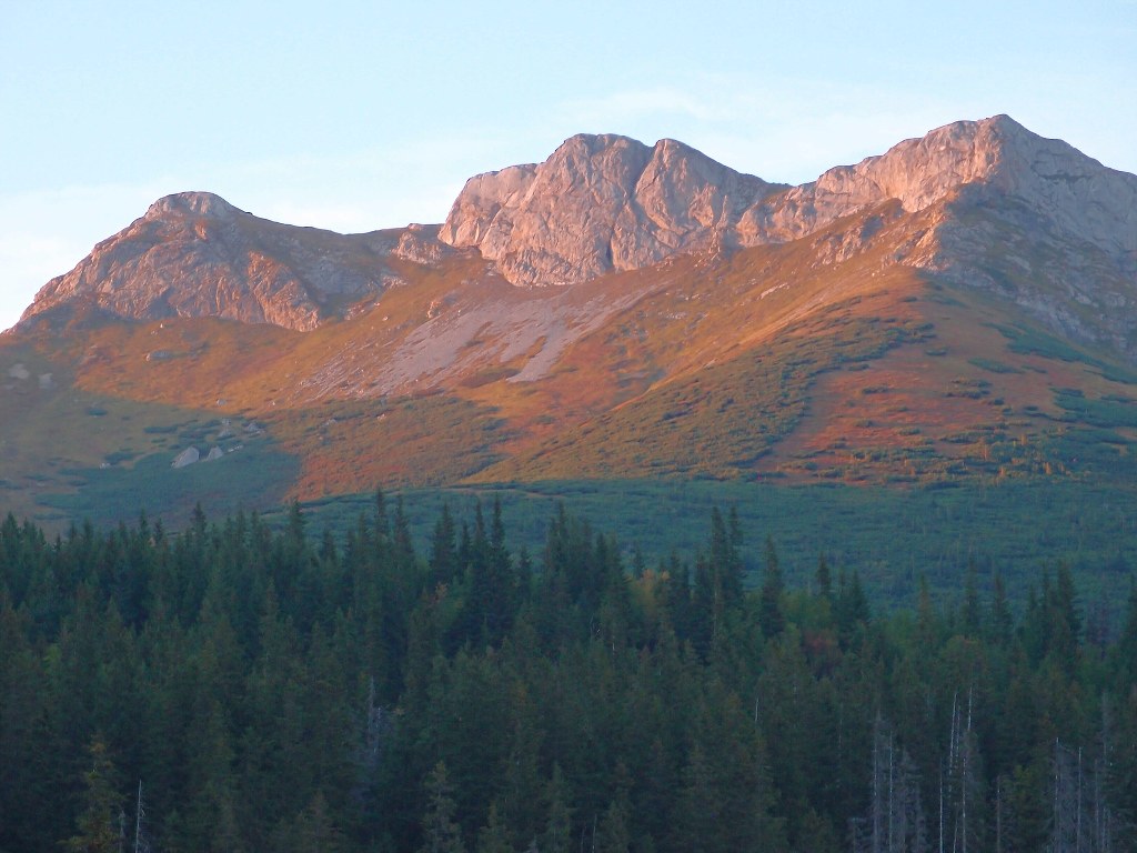 img00030.jpg