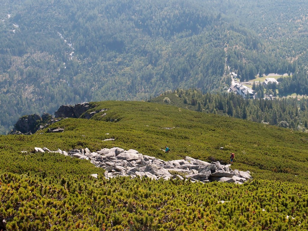 img00005.jpg