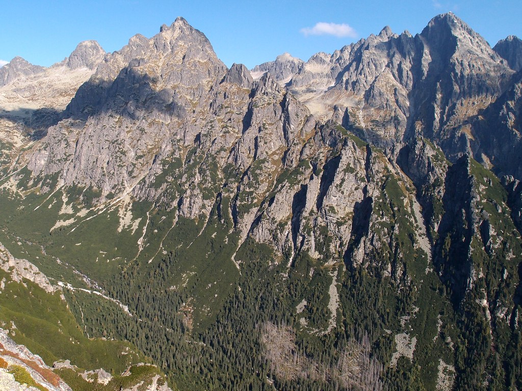 img00006.jpg